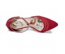 Joni Wine Red  Silk Dinner Shoes